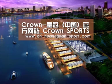 案例展示八(图1)