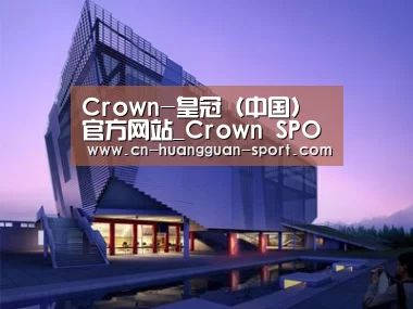 案例展示六
